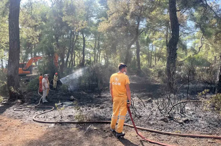 Antalya’da çıkan orman yangın kontrol altına alındı
