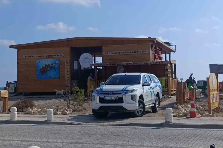 Antalya’da ’deniz kaplumbağası ambulansı’ göreve başladı
