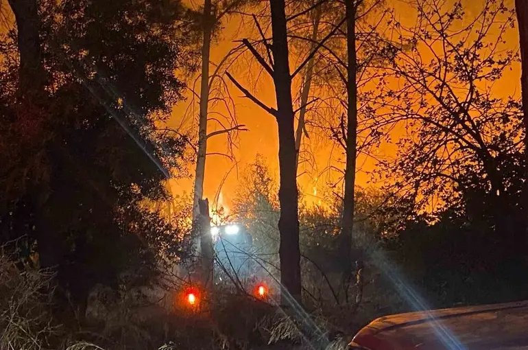 Antalya’da ormanlık alanda yangın
