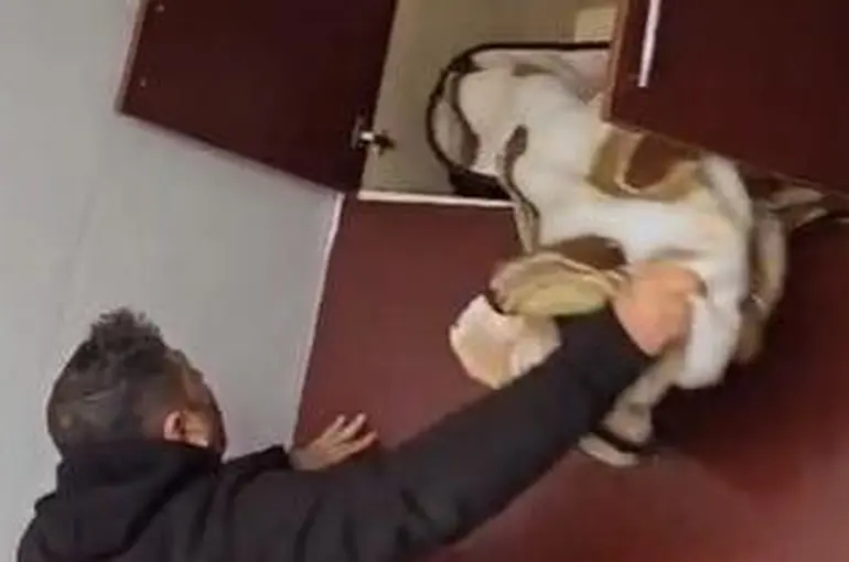 Aranan şahsın yakalandığı yeri görenler şok oldu