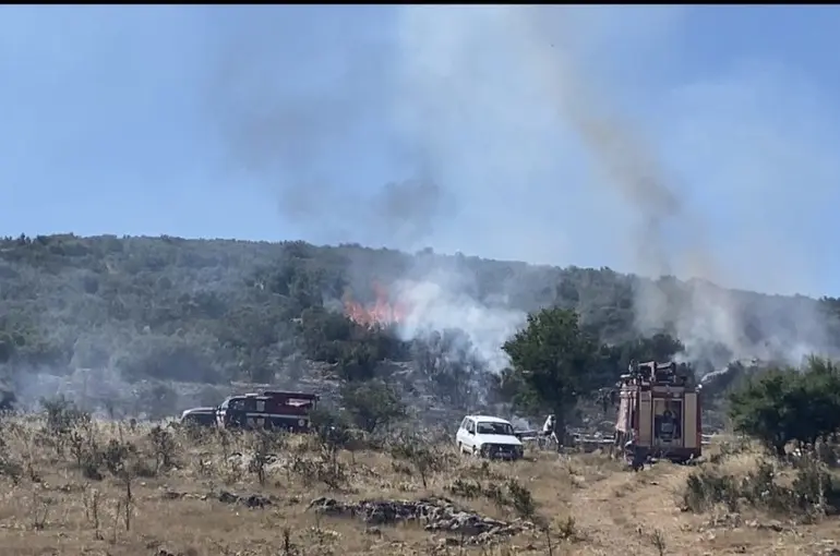 Arıcının tütsüsü ormanı yaktı
