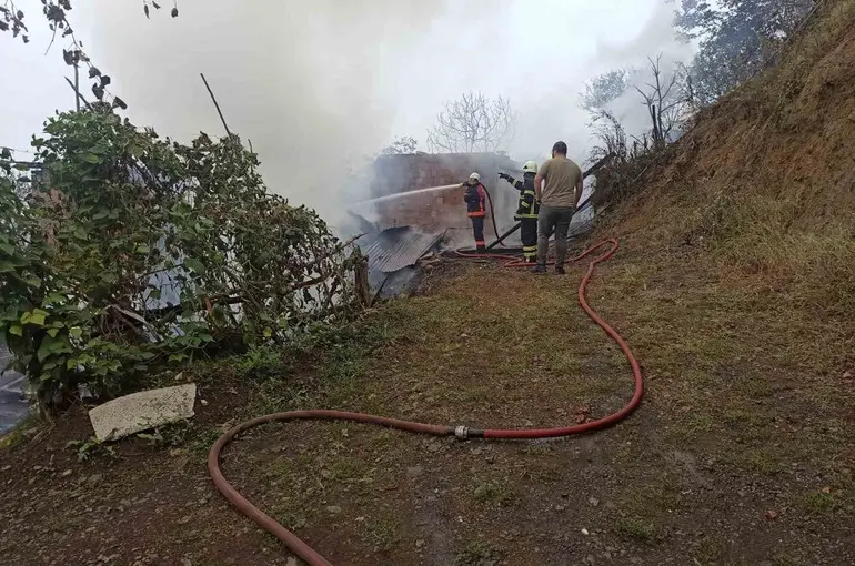 Artvin’de yangın paniği: 4 ev küle döndü
