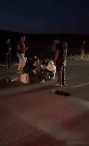 Avrupa turuna çıkan Fransız turist, koyunlara çarptı: 3 koyun telef oldu

