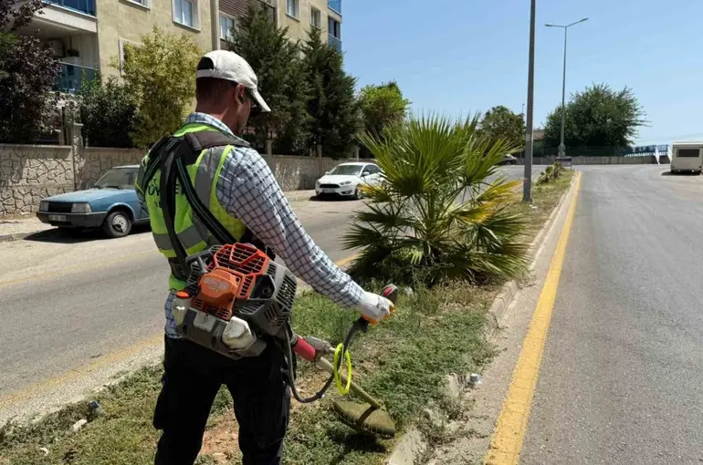 Aydın Büyükşehir’den Çeştepe’de park ve yeşil alanlara bakım
