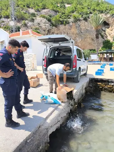 Aydın’da 60 kilo canlı yengeç ele geçirildi
