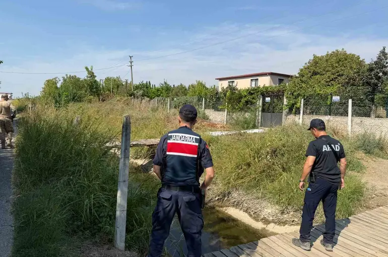 Aydın’da 60 personel yaşlı kadını bulmak için seferber oldu
