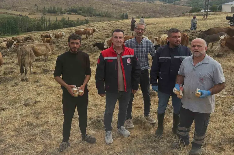 Aydıntepe’de hayvan yetiştiricilerine yonca zehirlenmesi uyarısı

