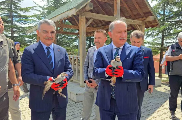 Bakan Yardımcısı Polat, 10 bin keklik kapasiteli tesisi inceledi
