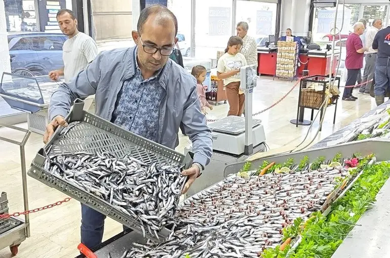 Balık tezgahları şenlendi
