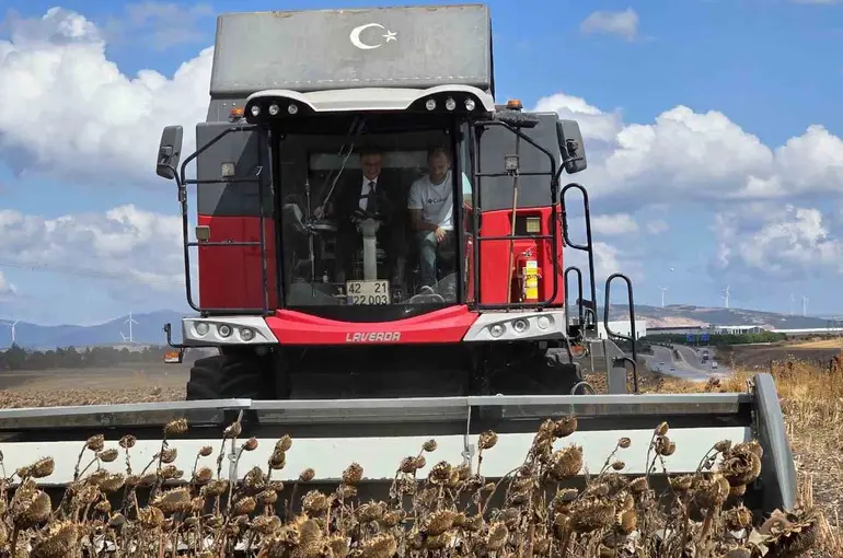 Bandırma’da kaymakam tarlaya indi, ayçiçeği hasadına katıldı
