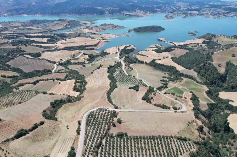 Baraj çevresi bal ormanına dönüşüyor

