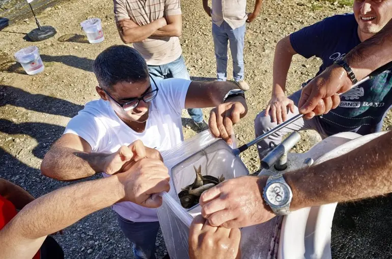 Baraj ve göletler 122 bin yavru balıkla buluştu