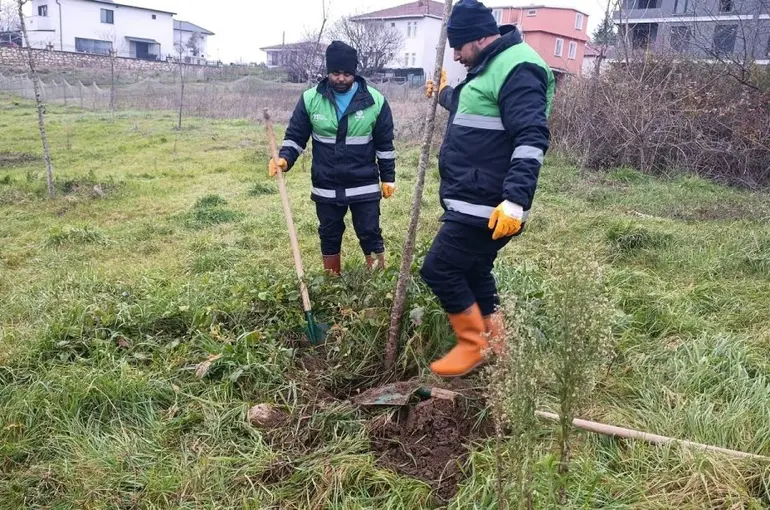 Başiskele’de yeşil alan çalışmaları devam ediyor
