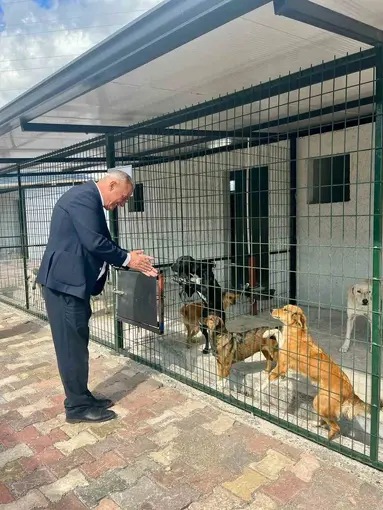 Başkan Yıldırımkaya: "Sultanhisar’da can dostlar emin ellerde"
