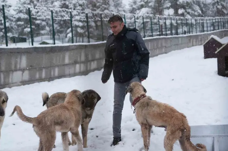 Battalgazi’de Malatya’nın ikinci hayvan barınağı hizmete başladı
