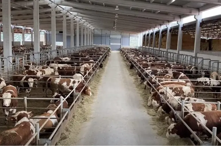 Besi çiftliklerine talep oluyor mu?