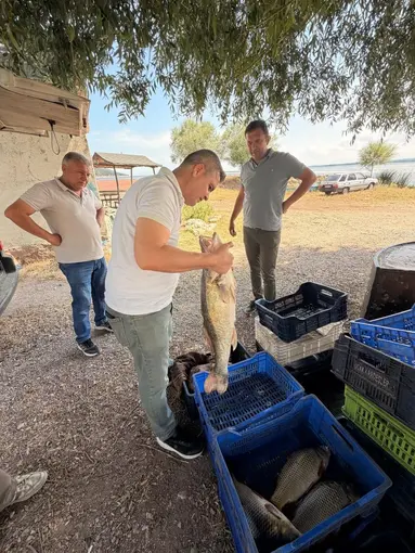 Beyşehir Gölü'nde avlanan balıklar tek tek kontrol edildi