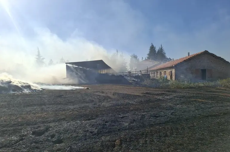 Beyşehir ve Hüyük'te çıkan anız yangınları paniğe neden oldu