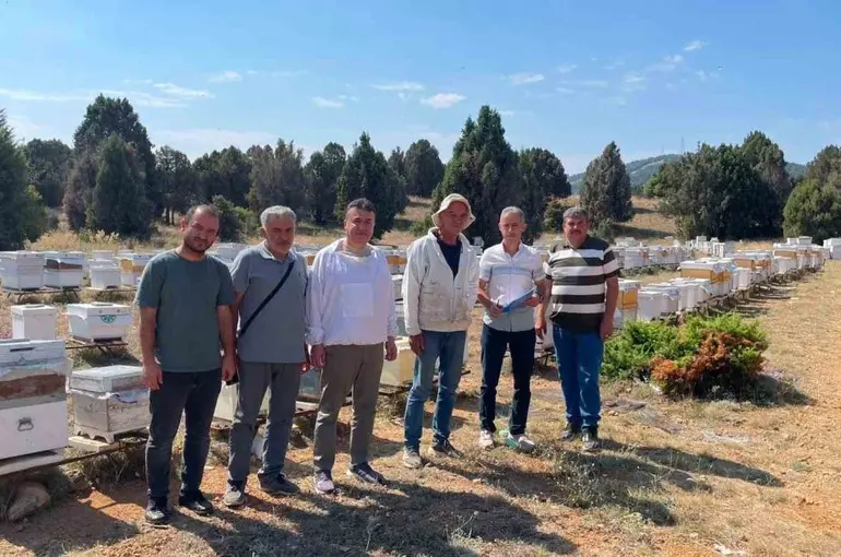Beyşehir’de arılı kovanlar tek tek sayılıyor
