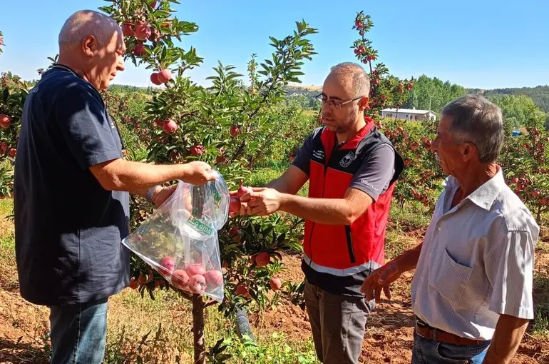 Beyşehir’de hasat öncesi pestisit denetimleri
