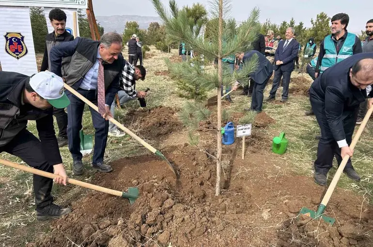 Bingöl’de 25 bin fidan toprakla buluştu
