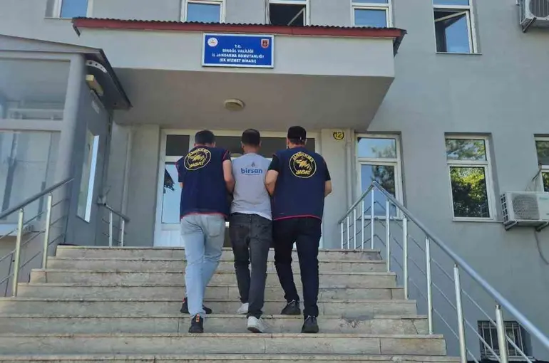 Bingöl’de 5 bin 176 kök kenevir ele geçirildi
