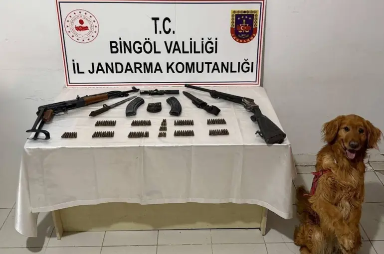 Bingöl’de silah ve mühimmat ele geçirildi