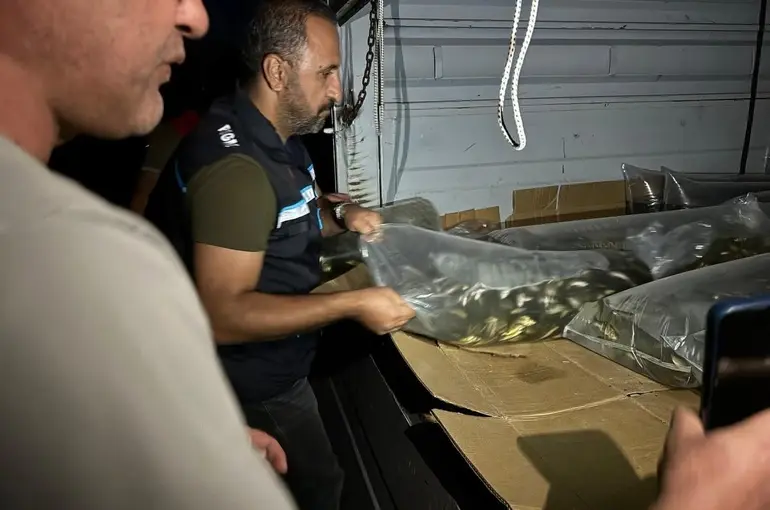 Bitlis’te göl ve göletlere 1 milyon 397 bin 500 yavru sazan bırakıldı

