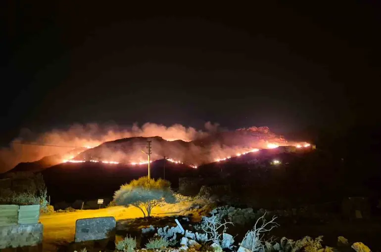 Bodrum’da makilik alanda yangın: "Alevler rüzgarla hızla yayıldı"
