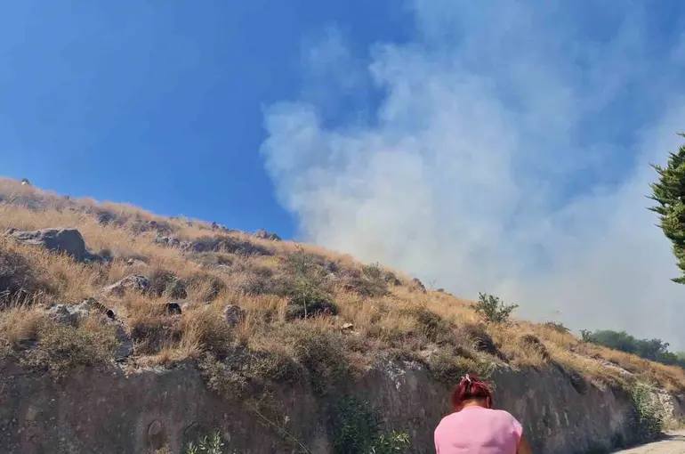 Bodrum’da makilik yangını
