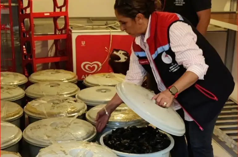 Bolu’da 650 kilo kaçak midye ele geçirildi
