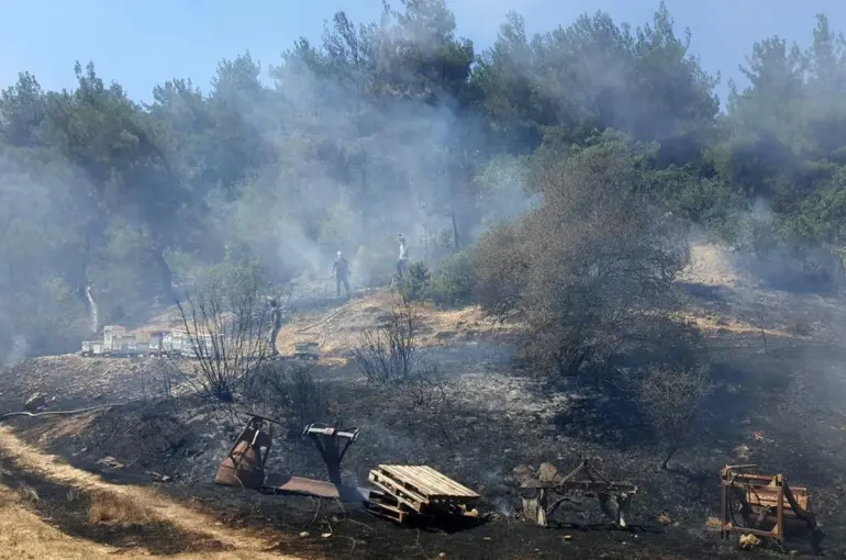Bolu’da otluk alanda çıkan yangın ormanlık alana sıçramadan söndürüldü
