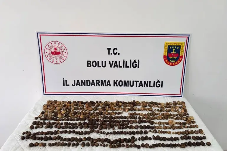 Bolu’da yabani salep toplayan 3 kişiye rekor ceza: 2 milyon 97 bin TL

