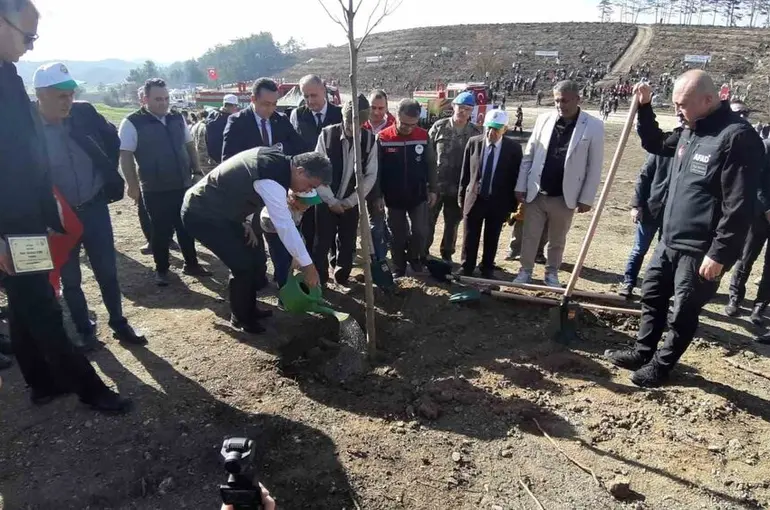 Bolu’da yanan orman yeniden yeşeriyor
