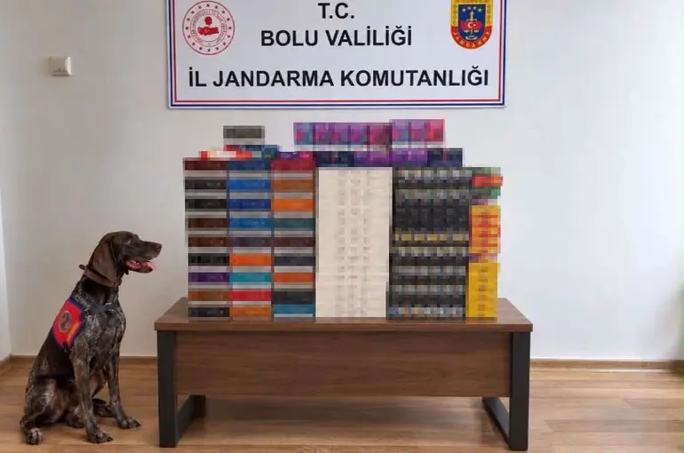 Bolu’da yolcu otobüslerinde kaçak tütün operasyonu: Piyasa değeri 760 bin TL
