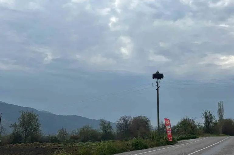 Bozdoğan’da baharın müjdecisi leylekler yuvalarına döndü
