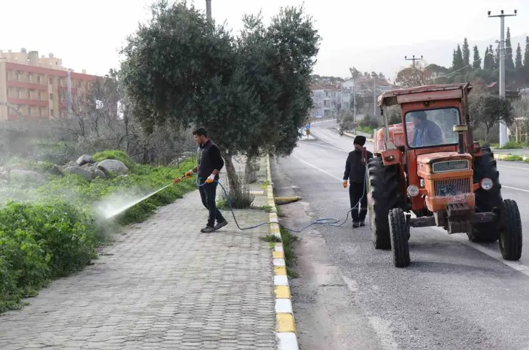 Bozdoğan’da yabani ot mücadelesi
