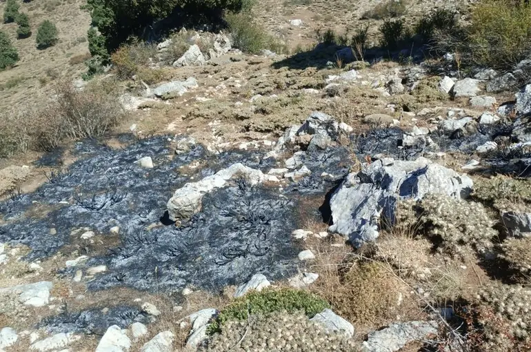 Burdur’da çalılık yangını söndürüldü
