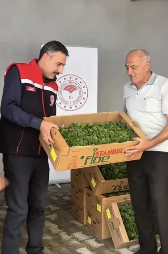 Burdur’da üreticilere 164 bin 500 marul fidesi dağıtıldı

