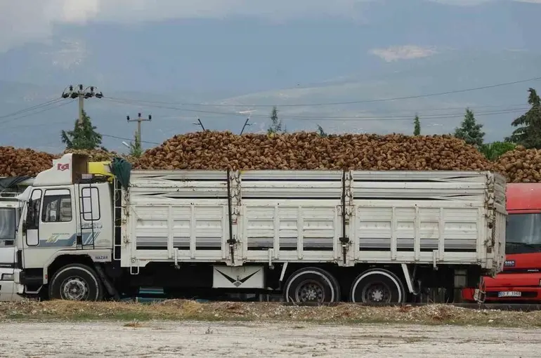Burdur’da yaklaşık 700 bin ton şeker pancarı işlenecek
