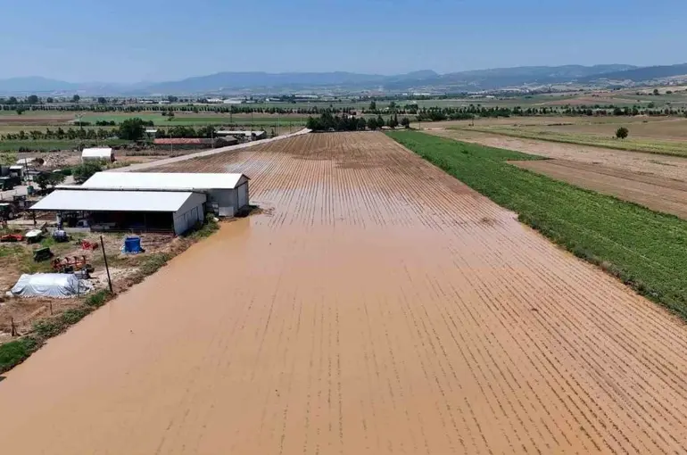Bursa Yenişehir’de sel ve dolu felaketi
