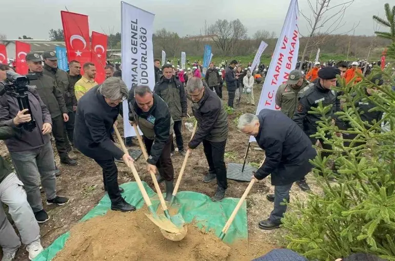 Bursa’da 2 yıl önce yanan 80 hektarlık alan ağaçlandırıldı
