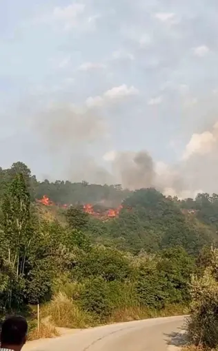 Bursa’da makilik alanda yangın
