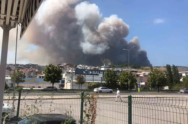 Bursa’da orman yangını
