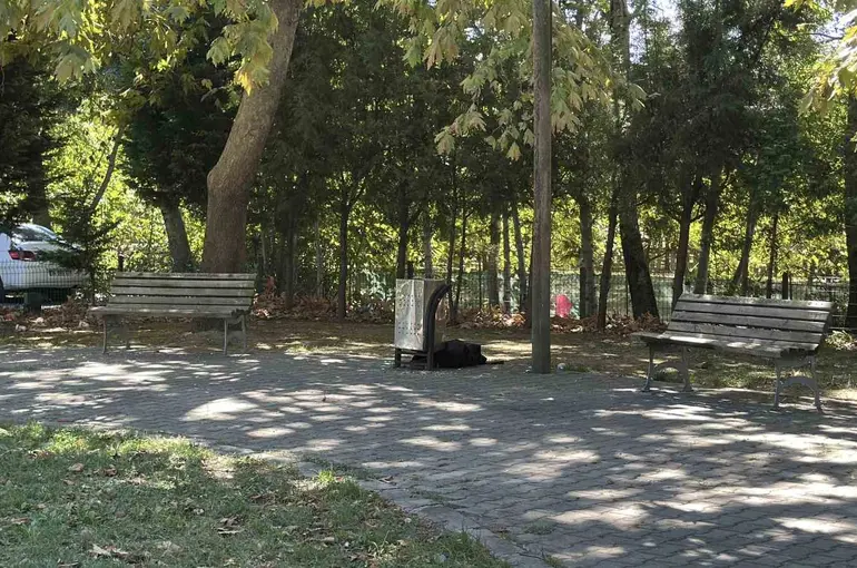 Cami parkındaki bankta şüpheli ölüm

