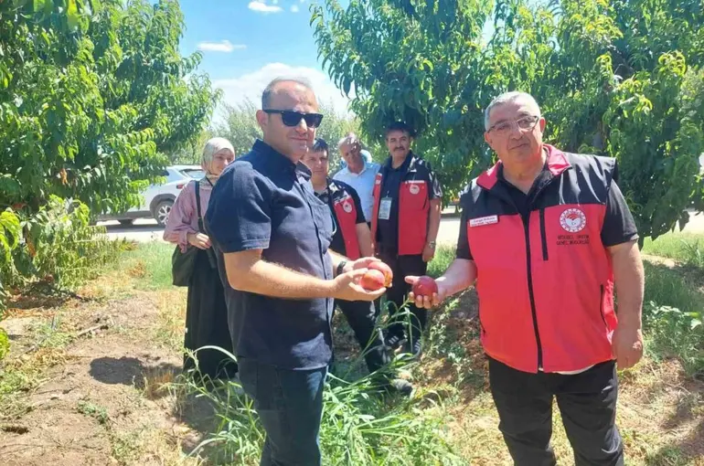 Çanakkale’de bitkisel üretim projeleri değerlendirildi
