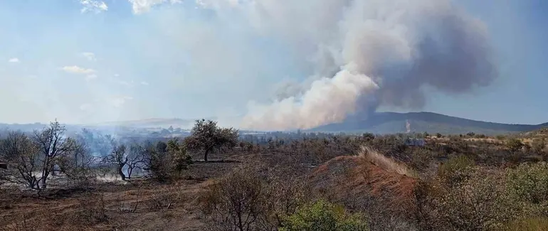 Çanakkale’de tarım arazisinde başlayan yangın ormanlık alana sıçradı
