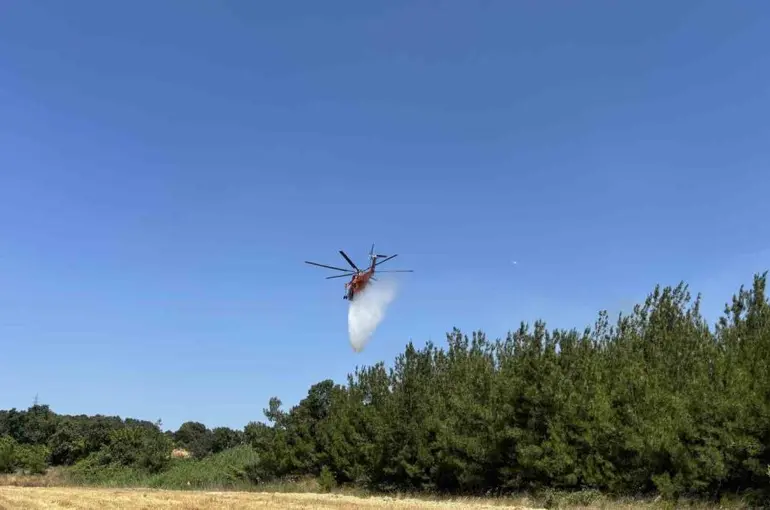 Çanakkale’de tarım arazisinde yangın
