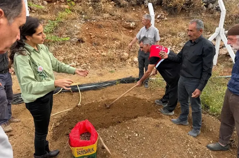 Çelikhan’da 10 üreticiye 90 kilogram salep yumrusu dağıtıldı
