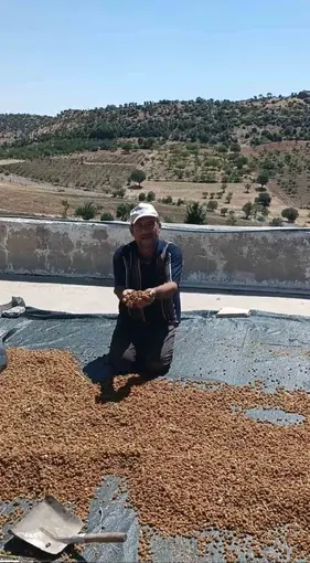 Çermik’te dutlar pazardaki yerini aldı

